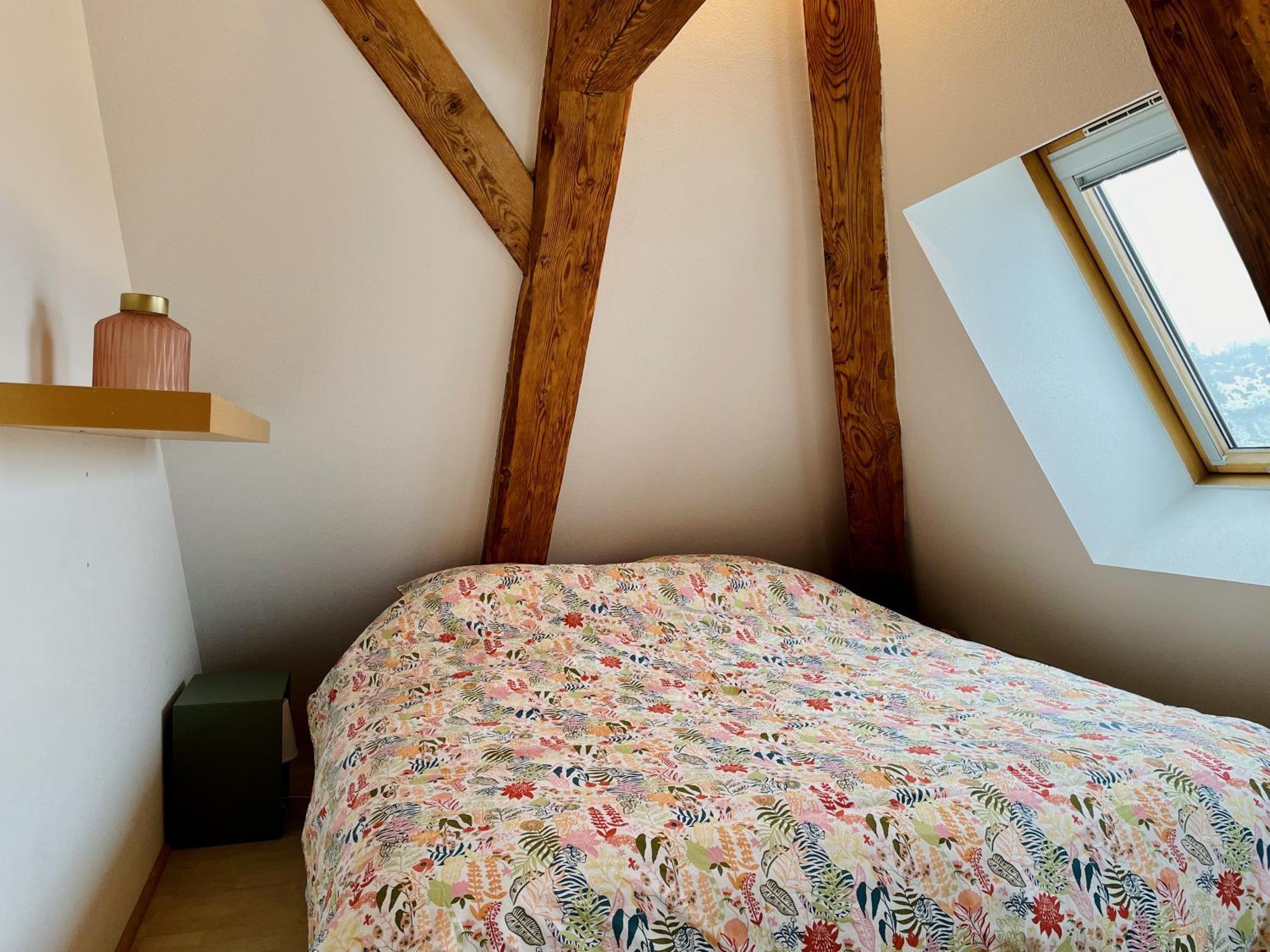 Duplex + Parking Gratuit Facile Διαμέρισμα Sainte-Suzanne  Εξωτερικό φωτογραφία